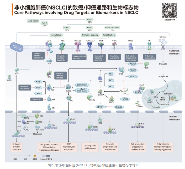 6a30afb081dcd.png image.png