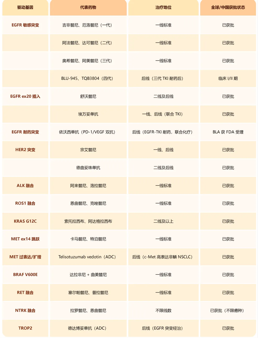 6a30aff43e8a0.png d4ec7ed9-4051-4c65-857e-33ca877504a9.png