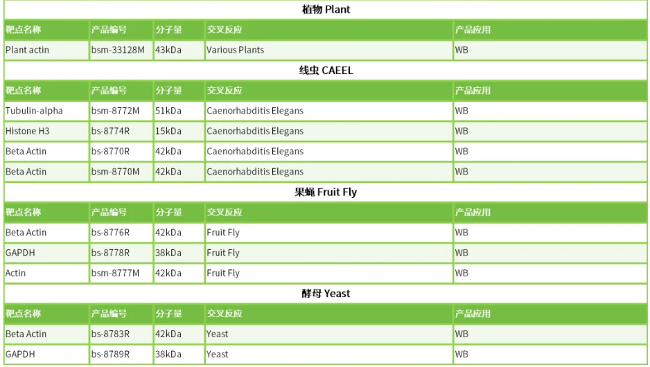 6a30b19e44d95.png image.png