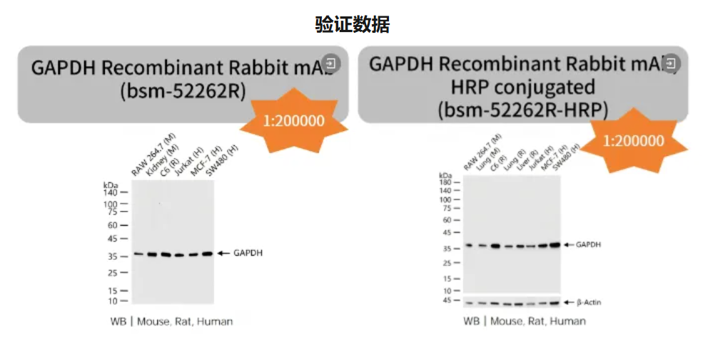 6a30b1eeb876a.png image.png
