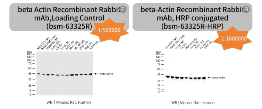 6a30b2134f87a.png image.png