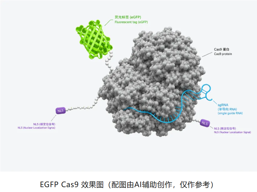 6a30b2cd1b0e0.png image.png