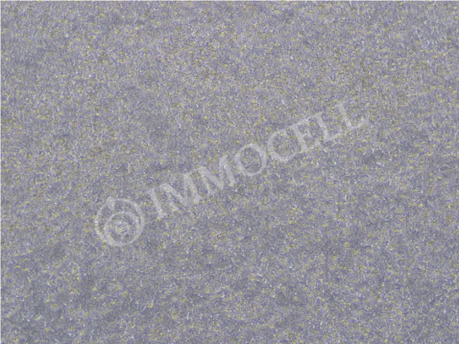 6a30f5915500c.png image.png