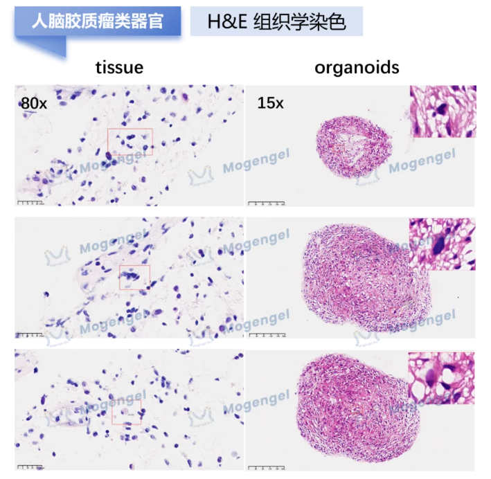 6a30f9700c037.png image.png